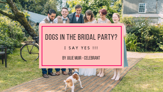 Dogs in the bridal party blog graphic | Julie Muir Celebrant
