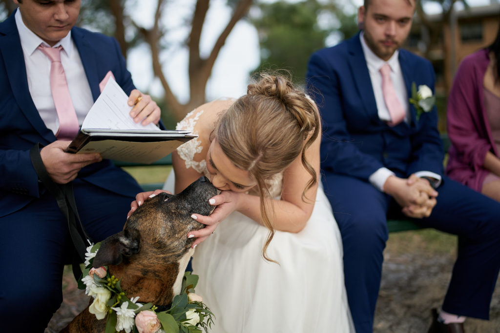 dogs in the wedding party bride kissing