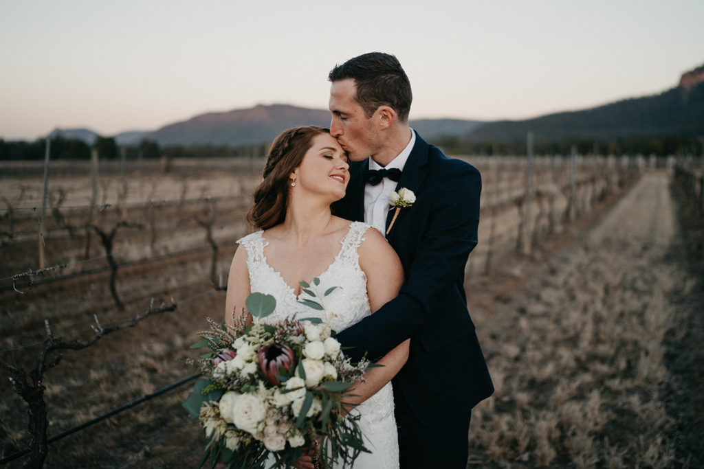 Groom kissing bride's forehead in the vineyards at Margan Winery