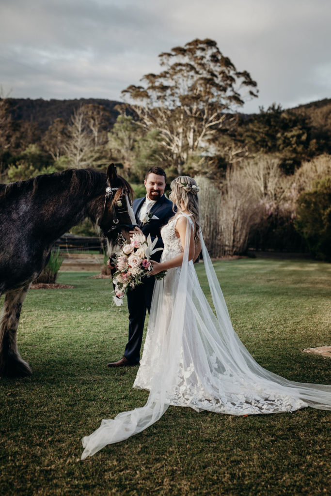 Bride and groom looking at each other beside a dark horse at Fernbank Farm