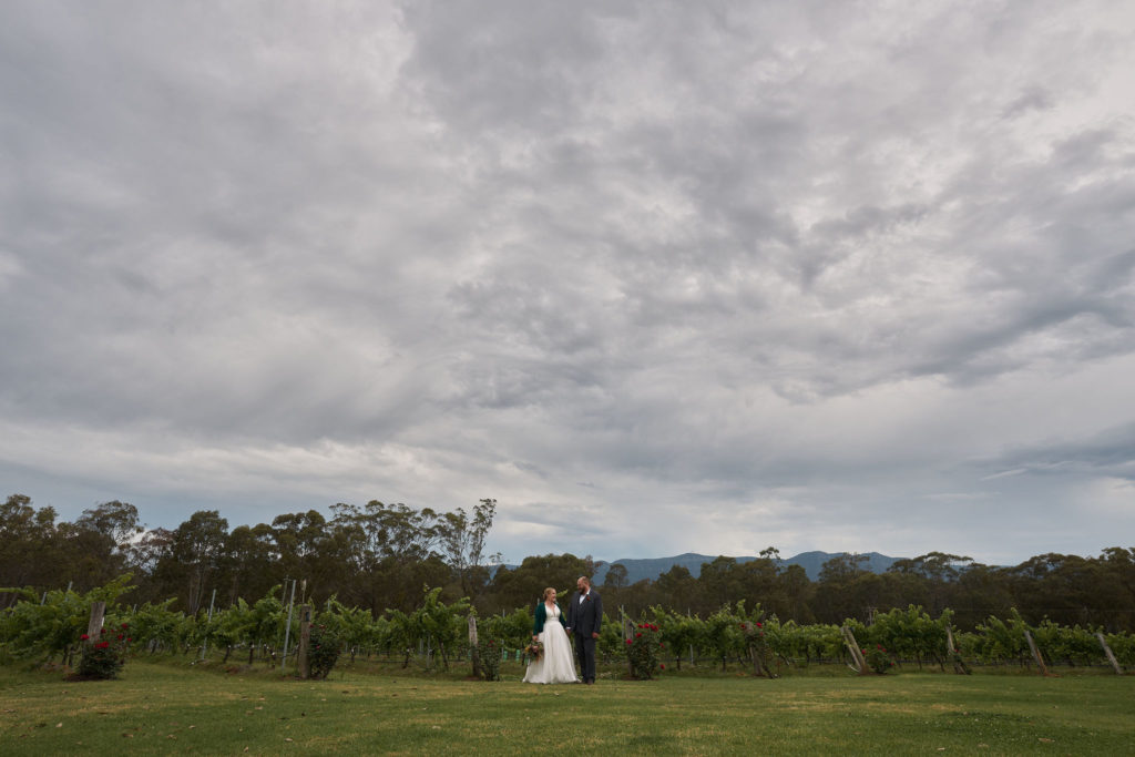 Bride and groom in the vineyard of Spicers Vineyard Estate