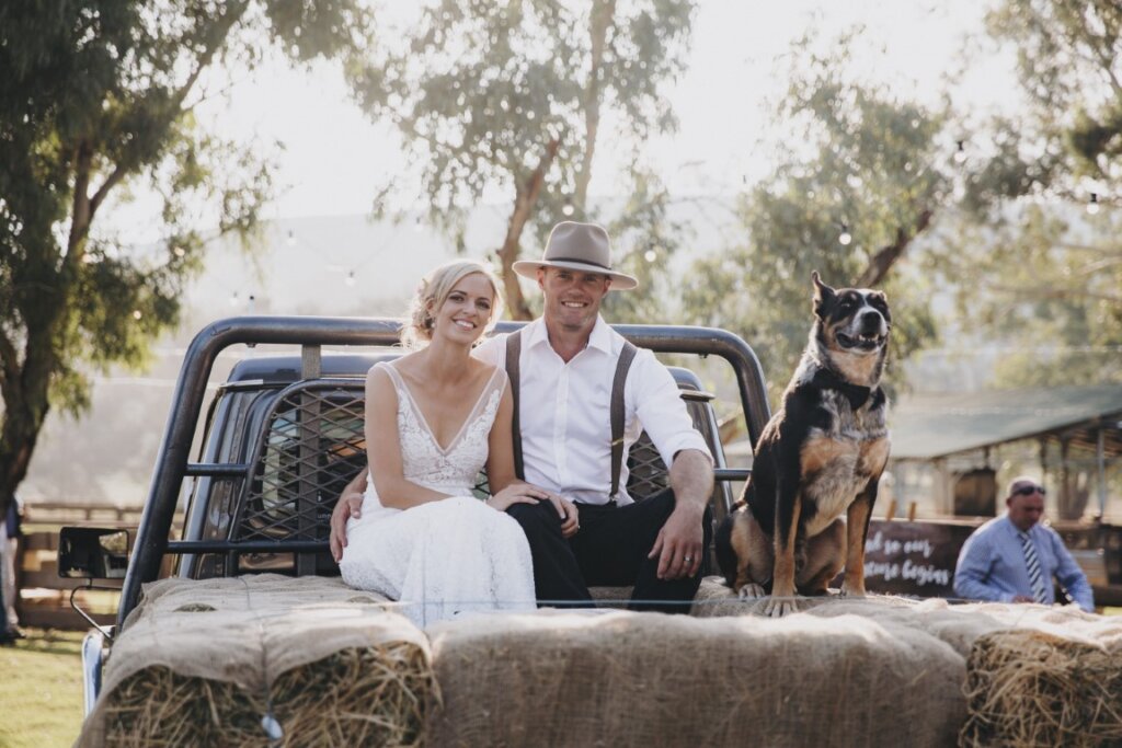 Wedding Couple sitting on the back of their truck with their dog and bales of hay