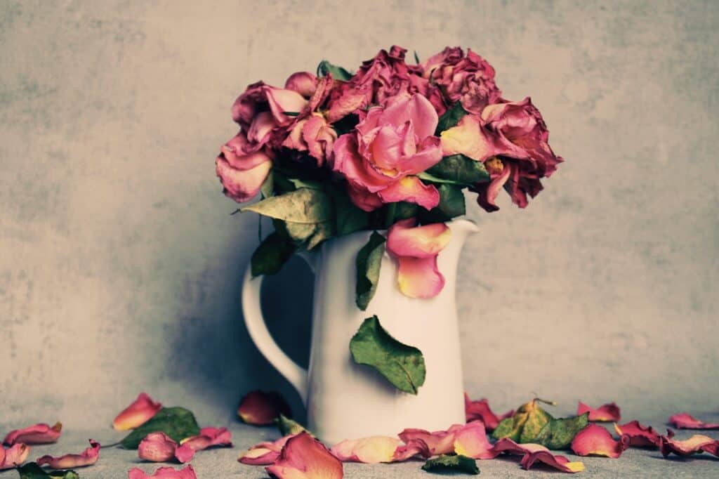 Jug with dying pink roses. Movies to watch while grieving. 