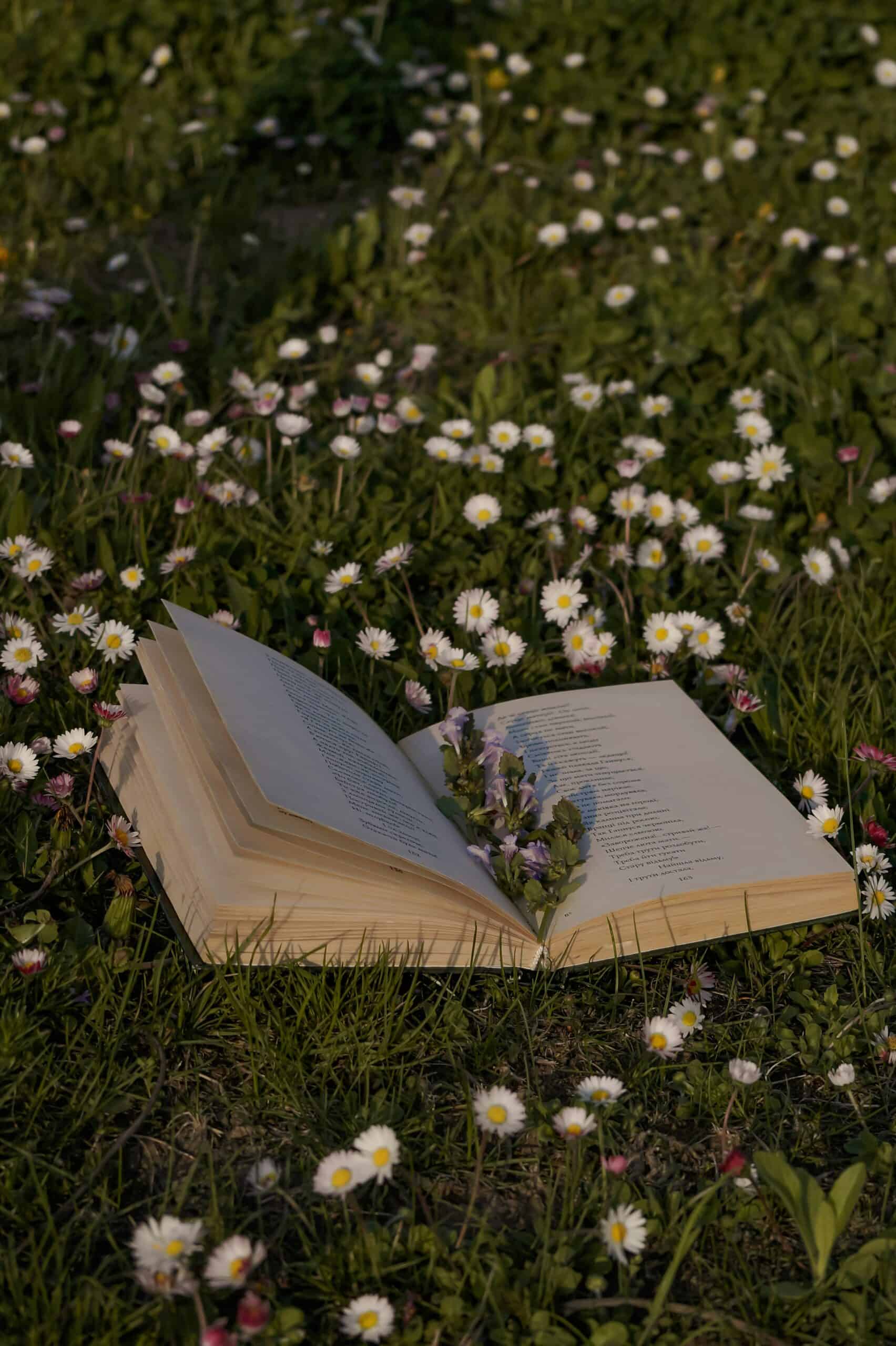 book in field of daisies