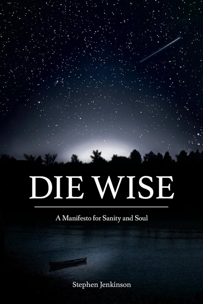 die-wise-stephen-jenkinson-cover