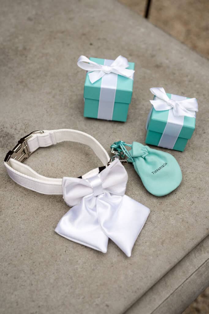 Tiffany Blue rings, pouch and dog collar at Redleaf Wollombi