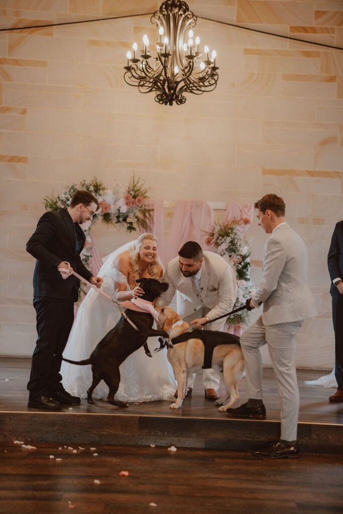 bride-and-groom-welcoming-their-dogs-at-the-altar-rachel-and-nick-wedding